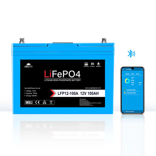 12V 100AH LiFePO4 Deep Cycle Lithium Battery / Bluetooth /Self-heating / IP65 | 1 unit