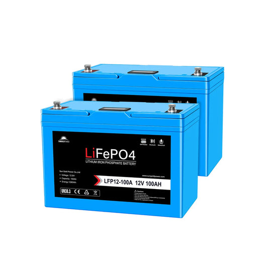 12V 100AH LiFePO4 Deep Cycle Lithium Battery / Bluetooth /Self-heating / IP65 | 2 units